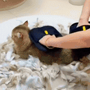 ZeroPelos® – Luva Removedora de Pelos e Massageadora