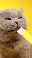 NATURAL STICKS ATUM KIT 15 STICKS 15G PARA GATOS SNACK CREMOSO