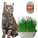 Graminha Para Gato Pet Digestiva - Mix Sementes (Petisco 100% Natural)