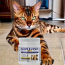 Suplemento Gato 250g Queda de Pelo Imunidade Forte Ômega 3 Probióticos e Vitaminas para Saúde Felina