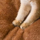 Cama Removível Lavável Quente e Peludo para Cachorro e Gato