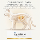 Ração Total Equilibrio Veterinary Renal Gatos Adultos